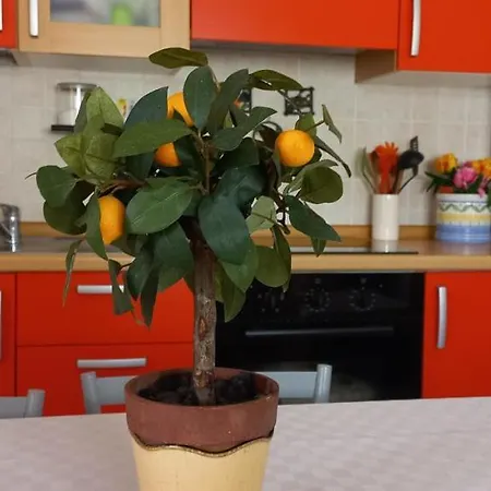 Mimosa House *