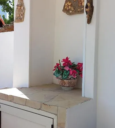 בית נופש Mimosa House